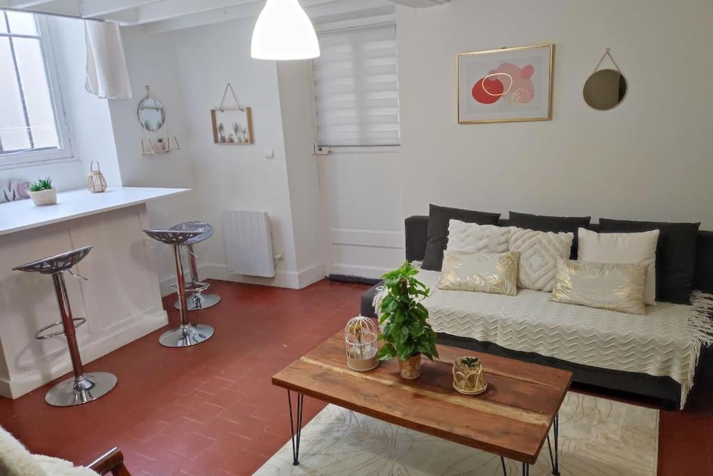 Charmant Duplex En Centre-Ville Le Mans Luaran gambar